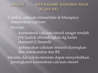 3. Influx calsium intraseluler & hilangnya
homeostasis calcium
Normal :
-konsentrasi calcium sitosol sangat rendah
(<0,1µmol) dibandingkan dg kadar
ekstrasel (1,3mmol)
-kebanyakan calcium intrasel diasingkan
dlm mitokondria dan RE
Iskemia dan toksin tertentu dapat menyebabkan
peningkatan konsentrasi calcium sitosol
 