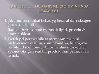 4. Akumulasi radikal bebas yg berasal dari oksigen
(stress oksidatif)
Radikal bebas dapat merusak lipid, protein &
asam nukleat
5. Defek pd permeabilitas membran melalui
mekanisme : disfungsi mitokondria, hilangnya
fosfolipid membran, abnormalitas sitoskeletal,
spesies oksigen reaktif, produk dari pemecahan
lemak.
 