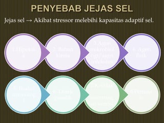 Jejas sel → Akibat stressor melebihi kapasitas adaptif sel.
4. Agen
fisik
3.Agen
mikrobiol
ogi/agen
infeksius
2. Bahan
kimia
1.Hipoksi
a
8.Penuaa
n
7.Ketidak
-
seimbang
an nutrisi
6. Defek
genetik
5. Reaksi
imunolog
i
 