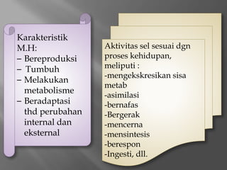 Karakteristik
M.H:
– Bereproduksi
– Tumbuh
– Melakukan
metabolisme
– Beradaptasi
thd perubahan
internal dan
eksternal
Aktivitas sel sesuai dgn
proses kehidupan,
meliputi :
-mengekskresikan sisa
metab
-asimilasi
-bernafas
-Bergerak
-mencerna
-mensintesis
-berespon
-Ingesti, dll.
 