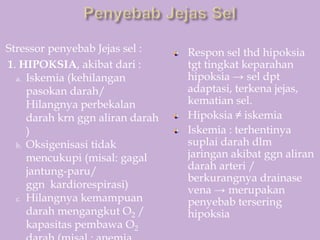 Stressor penyebab Jejas sel :
1. HIPOKSIA, akibat dari :
a. Iskemia (kehilangan
pasokan darah/
Hilangnya perbekalan
darah krn ggn aliran darah
)
b. Oksigenisasi tidak
mencukupi (misal: gagal
jantung-paru/
ggn kardiorespirasi)
c. Hilangnya kemampuan
darah mengangkut O2 /
kapasitas pembawa O2
Respon sel thd hipoksia
tgt tingkat keparahan
hipoksia → sel dpt
adaptasi, terkena jejas,
kematian sel.
Hipoksia ≠ iskemia
Iskemia : terhentinya
suplai darah dlm
jaringan akibat ggn aliran
darah arteri /
berkurangnya drainase
vena → merupakan
penyebab tersering
hipoksia
 
