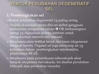 1. Pembengkakan sel
Bentuk perubahan degeneratif yg paling sering
 Terjadi akumulasi cairan dlm sel akibat gangguan
mekanisme pengaturan cairan  OK berkurangnya
energi yg digunakan pompa natrium untuk
mengeluarkan natrium dari intrasel
 Sitoplasma akan terlihat keruh dan kasar (degenerasi
bengkak keruh). Organel sel juga menyerap air yg
tertimbun dalam pembengkakan mitokondria,
pembesaran RE dll.
 Sitoplasma pada pemeriksaan mikroskopik akan
tampak sitoplasma bervakuola. Ini disebut perubahan
hidropik atau perubahan vacuolar.
 