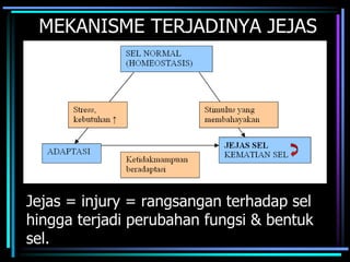 MEKANISME TERJADINYA JEJAS
Jejas = injury = rangsangan terhadap sel
hingga terjadi perubahan fungsi & bentuk
sel.
 