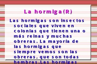 La hormiga(R) Las hormigas son insectos sociales que viven en colonias que tienen una o más reinas y muchas obreras. La mayoría de las hormigas que siempre vemos son las obreras, que son todas hembras.Las hormigas suelen ser de color rojizo oscuro. 