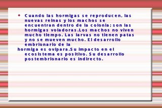 Cuando las hormigas se reproducen, las nuevas reinas y los machos se encuentran dentro de la colonia; son las hormigas voladoras.Los machos no viven mucho tiempo. Las larvas no tienen patas y no se mueven mucho. El desarrollo embrionario de la  hormiga es ovípara.Su impacto en el ecosistema es positivo. Su desarrollo postembrionario es indirecto. 