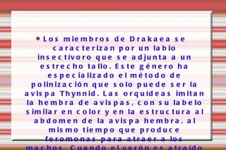 Los miembros de Drakaea se caracterizan por un labio insectívoro que se adjunta a un estrecho tallo. Este género ha especializado el método de polinización que solo puede ser la avispa Thynnid. Las orquídeas imitan la hembra de avispas, con su labelo similar en color y en la estructura al abdomen de la avispa hembra, al mismo tiempo que produce feromonas para atraer a los machos. Cuando el varón es atraído por las feromonas liberadas por las orquídeas, trata de volar con el labelo y hace que se mueva hacia atrás. Lo que a su vez hace que el macho ponga el tórax en contacto con el polen pegajoso del paquete. 
