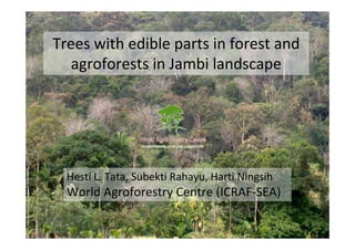 Trees with edible parts in forest and
   agroforests in Jambi landscape




  Hesti L. Tata, Subekti Rahayu, Harti Ningsih
  World Agroforestry Centre (ICRAF‐SEA)

                   World Agroforestry Centre     1
 