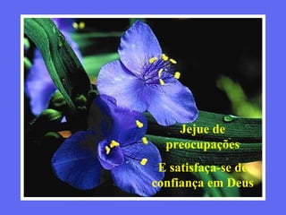 Jejue de preocupações E satisfaça-se de confiança em Deus 