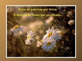 Jejue de palavras que ferem
E farte-se de frases que purificam...
 