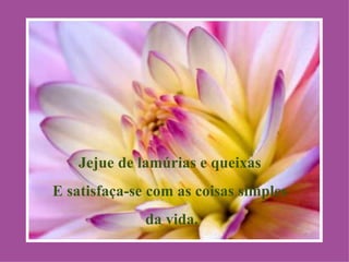 Jejue de lamúrias e queixas
E satisfaça-se com as coisas simples
              da vida.
 