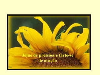 Jejue de pressões e farte-se
         de oração
 