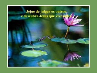 Jejue de julgar os outros
e descubra Jesus que vive neles.
 