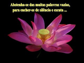 Abstenha-se das muitas palavras vazias,para encher-se de silêncio e escuta ... 
