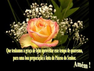 Que tenhamos a graça de bem aproveitar esse tempo de quaresma,para uma boa preparação à festa da Páscoa do Senhor.Amém !