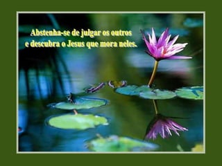 Abstenha-se de julgar os outrose descubra o Jesus que mora neles.