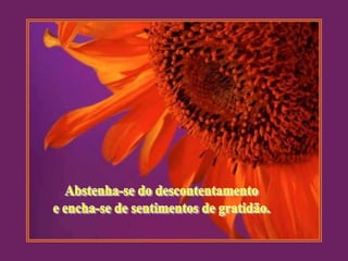 Abstenha-se do descontentamentoe encha-se de sentimentos de gratidão.