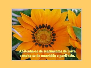 Abstenha-se de sentimentos de raivae encha-se de mansidão e paciência.