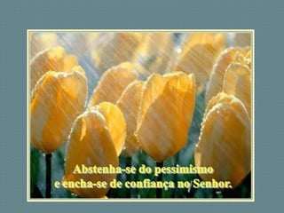 Abstenha-se do pessimismoe encha-se de confiança no Senhor.