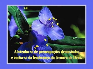 Abstenha-se de preocupações demasiadase encha-se da lembrança da ternura de Deus.
