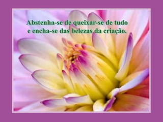 Abstenha-se de queixar-se de tudoe encha-se das belezas da criação.