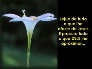 Jejue de tudo o que lhe afaste de Jesus E procure tudo o que DELE lhe aproximar... 