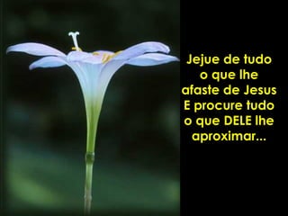 Jejue de tudo o que lhe afaste de Jesus E procure tudo o que DELE lhe aproximar... 
