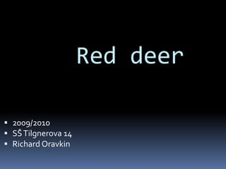 Red deer 2009/2010 SŠ Tilgnerova 14  Richard Oravkin  