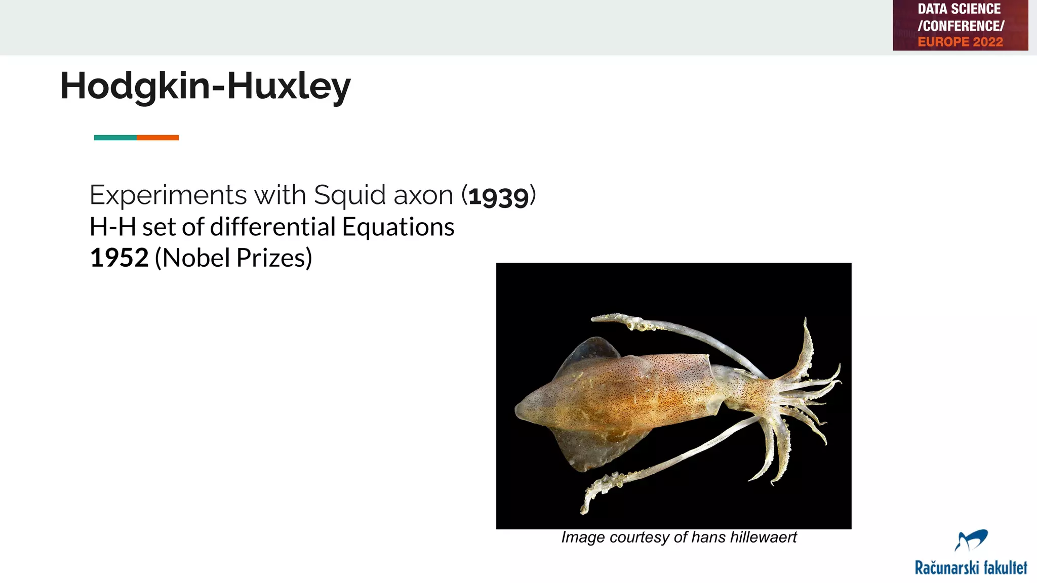 Hodgkin-Huxley
Experiments with Squid axon (1939)
H-H set of differential Equations
1952 (Nobel Prizes)
Image courtesy of hans hillewaert
 