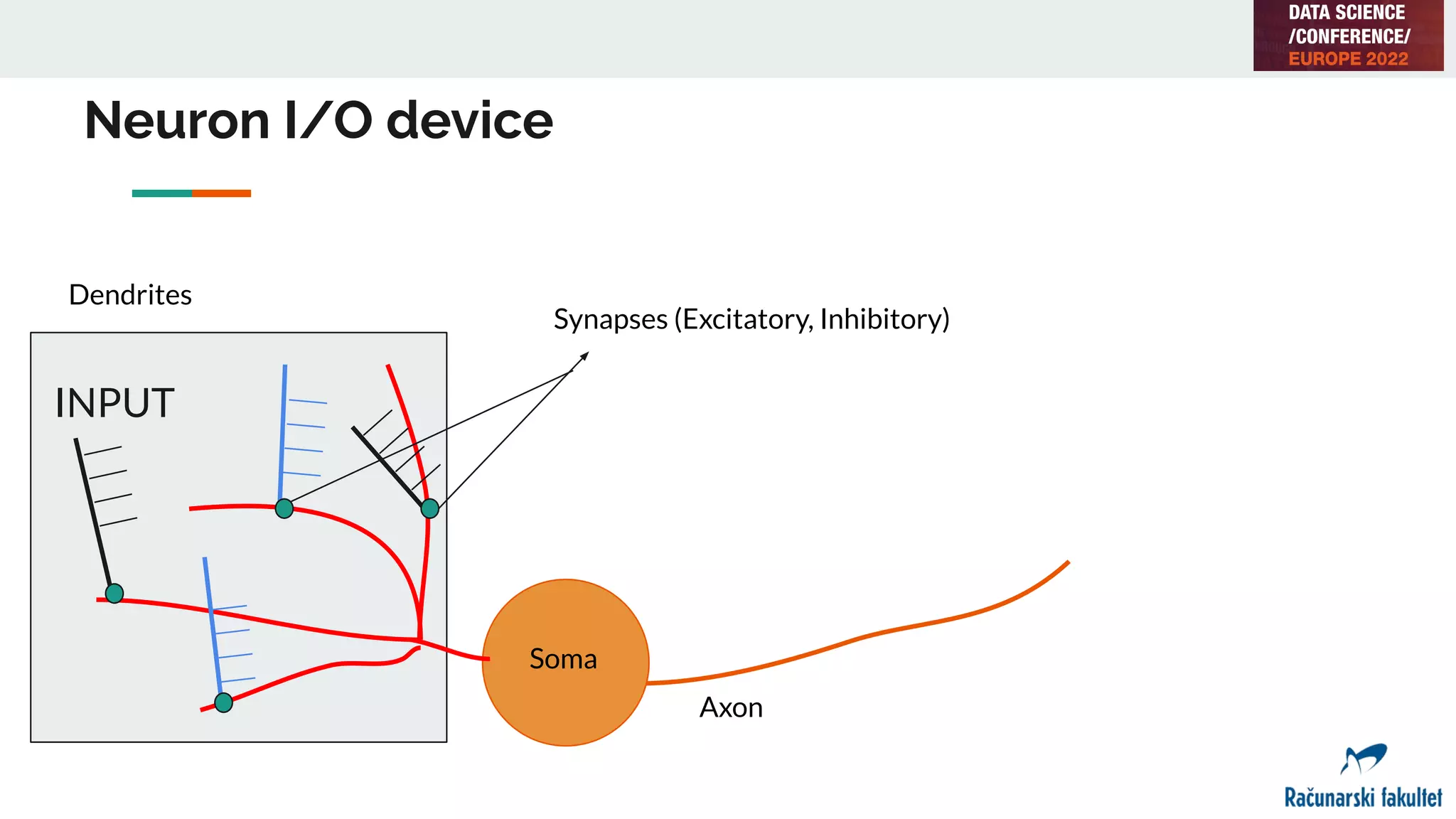 Neuron I/O device
INPUT
Soma
Dendrites
Axon
Synapses (Excitatory, Inhibitory)
 