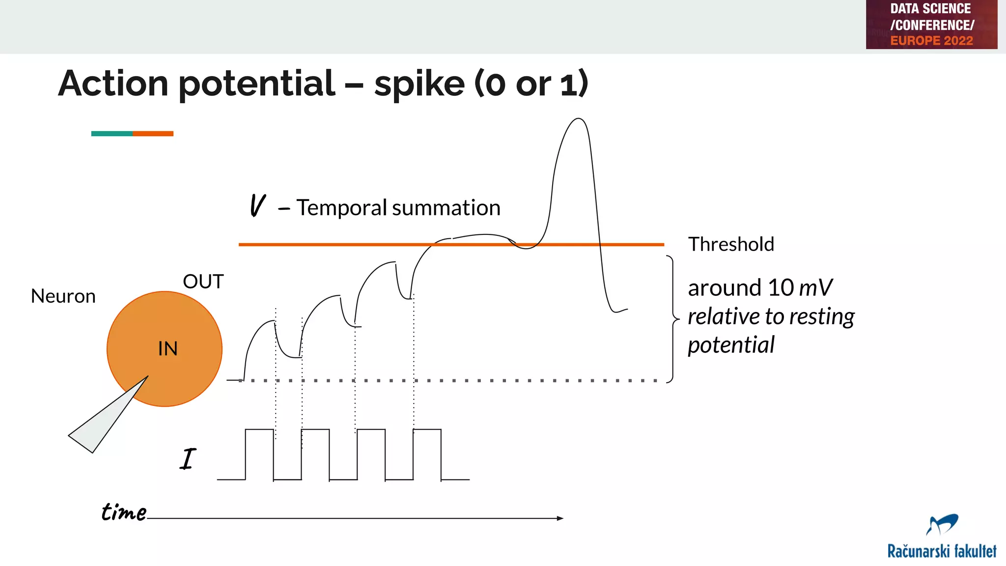 Action potential – spike (0 or 1)
I
IN
OUT
V – Temporal summation
time
Neuron
Threshold
around 10 mV
relative to resting
potential
 