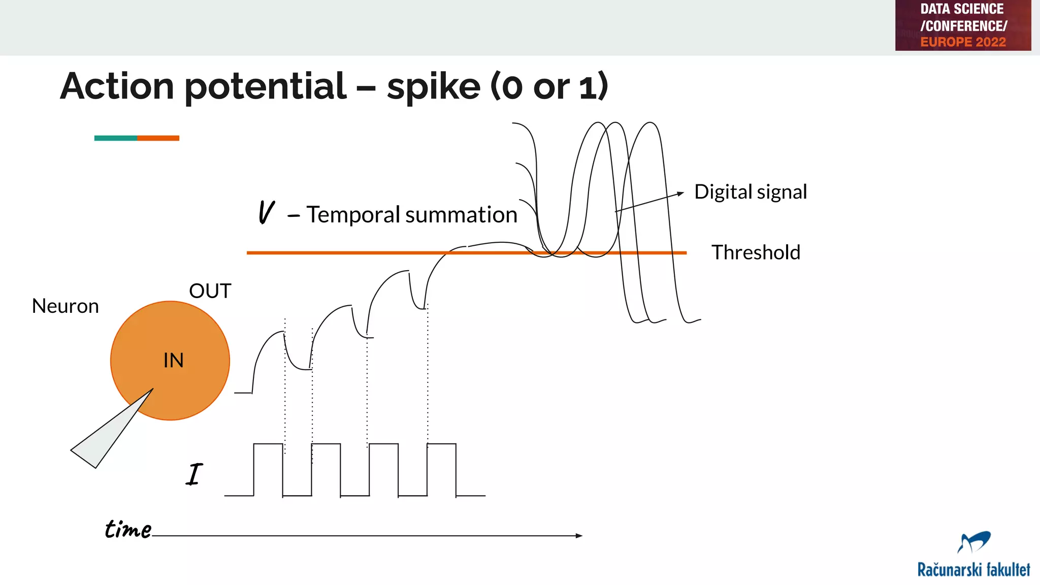 Action potential – spike (0 or 1)
I
IN
OUT
V – Temporal summation
time
Neuron
Threshold
Digital signal
 