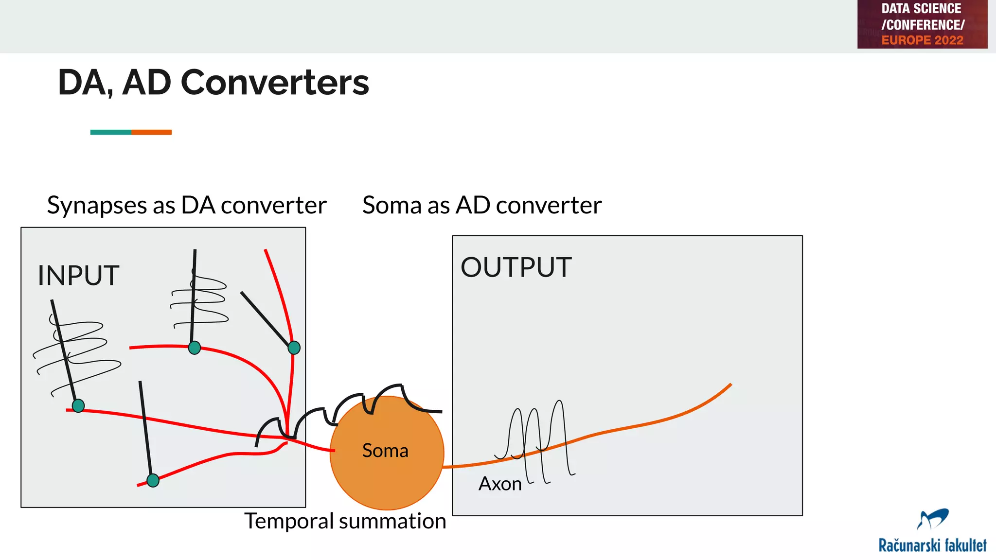 INPUT OUTPUT
Synapses as DA converter
Axon
DA, AD Converters
Temporal summation
Soma
Soma as AD converter
 