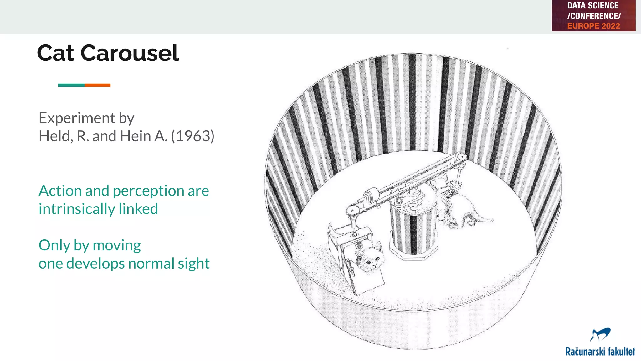 Cat Carousel
Experiment by
Held, R. and Hein A. (1963)
Action and perception are
intrinsically linked
Only by moving
one develops normal sight
 