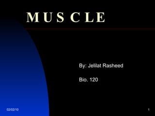 MUSCLE By: Jelilat Rasheed Bio. 120 