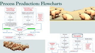Process Production: Flowcharts
 