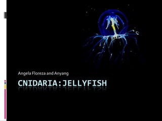 Cnidaria:Jellyfish Angela Floreza and Anyang 