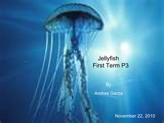 Jellyfish First Term P3 By Andres Garza November 22, 2010 