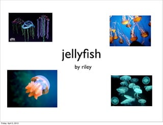jellyﬁsh
                          by riley




Friday, April 5, 2013
 