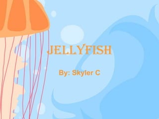 Jellyfish
By: Skyler C
 