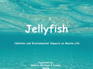 Jellyfish
Habitats and Environmental Impacts on Marine Life
Presented by:
Melissa Hartman & Pamela
Moore
 
