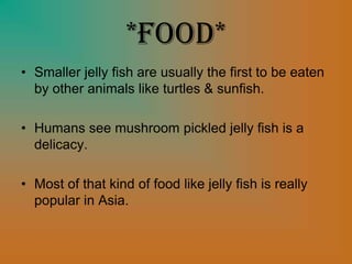*Food*
• Smaller jelly fish are usually the first to be eaten
by other animals like turtles & sunfish.
• Humans see mushroom pickled jelly fish is a
delicacy.
• Most of that kind of food like jelly fish is really
popular in Asia.
 