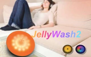 JellyWash2 
 