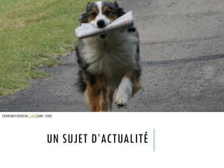 UN SUJET D’ACTUALITÉ
CertainsdroitsréservésparS.Carter(Source :Flickr)
 