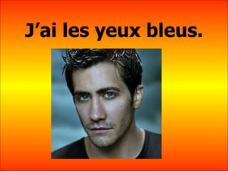 J’ai les yeux bleus. 