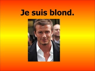 Je suis blond. 