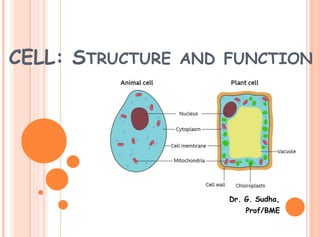 CELL: STRUCTURE AND FUNCTION
Dr. G. Sudha,
Prof/BME
 