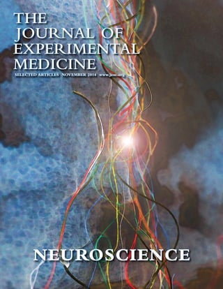 THE 
JOURNAL OF 
EXPERIMENTAL 
MEDICINE 
SELECTED ARTICLES NOVEMBER 2014 www.jem.org 
NEUROSCIENCE 
 