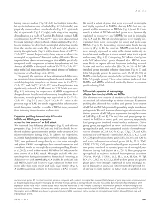 JEM Vol. 211, No. 8 
Ar t icle 
We noted a subset of genes that were expressed in microglia 
and highly regulated in MiDMs during EAE, but not ex-pressed 
at all in monocytes or MDMs (Fig. 6, A and B). Con-versely, 
a subset of MDM-enriched genes were dynamically 
regulated in monocytes and MDMs but not in microglia 
(Fig. 6, A and B). MDM-enriched genes were sharply up-regulated 
from naive monocytes to onset and peak-stage 
MDMs (Fig. 6 B), descending toward naive levels during 
recovery (Fig. 6 B). In contrast, MiDM-enriched genes 
were strongly expressed in naive cells, almost uniformly si-lenced 
at onset, and began a return toward naive levels at peak 
and recovery (Fig. 6 B). Comparing MDM-enriched genes 
with MiDM-enriched genes showed that MDMs were 
more likely to express effector functions, including secreted 
factors and surface molecules (18/28; 64.3% of MDM-enriched 
genes encoded effector functions; Fig. 6 C: and 
Table S1, purple genes). In contrast, only 18/48 (37.5%) of 
MiDM-enriched genes encoded effector functions (Fig. 6 D, 
Table S1, purple genes). These observations indicated that 
MiDMs and MDMs exhibited markedly distinct expression 
profiles during EAE. 
Differential expression of macrophage 
effector functions by MiDMs and MDMs 
Our ultrastructural analysis of myeloid cells in EAE focused 
on myeloid cell relationships to tissue elements. Expression 
profiling also addressed the cytokine and growth factor output 
of MiDMs and MDMs, potentially providing insight into disease 
pathogenesis. We used k-means clustering to discriminate five 
distinct patterns of MiDM gene expression during the course 
of EAE (Fig. 6, E and F). The red, blue and green groups in-creased 
in MiDMs at onset, peak, and recovery, respectively. 
Red group genes involved several surface molecules. Green 
group genes, up-regulated at onset and transiently further 
up-regulated at peak, were comprised mainly of complement-system 
elements (C3aR1; C4a, C1qa, C1qa, C3, and Cfb); 
mononuclear cell–specific chemokines (CCl2, 3, 4, 5, 7, and 
CXCL9); proliferation related genes ( fos, jun, myc, and CSF1); 
and acute inflammation–related genes (IL1a, IL1b, TNF, 
CEBP, STAT1). Cell growth–related genes expressed at this 
time point correlated to reported patterns of microglial pro-liferation 
during EAE (Ajami et al., 2011). Blue group genes 
up-regulated at recovery included heterogeneous cytokines 
(IFN-, IFN-, TGFB3, IL2, IL3, IL4, IL12, IL12, 
PDGFA, CSF2, and CXCL2). Both yellow group and golden 
group genes were strongly expressed in naive microglia, re-duced 
drastically at onset, and either returned to preEAE lev-els 
during recovery (yellow) or failed to do so (golden). These 
1541 
having concave nucleus (Fig. 5 C, left) had multiple intracellu-lar 
myelin inclusions, one of which (Fig. 5 C, left middle) was 
physically connected to a myelin sheath (Fig. 5 C, right mid-dle) 
at a paranode (Fig. 5 C, right), indicating active ongoing 
demyelination at a node of Ranvier. By distinct contrast, EAE 
onset tissues of Ccr2rfp/rfp::Cx3cr1gfp/+ mice were characterized 
by nodal pathology often without cellular infiltrates (Fig. 5 D). 
In one instance, we detected a neutrophil abstracting myelin 
from the myelin internode (Fig. 5, left and right) despite a 
nearby disrupted node (Fig. 5, left) in tissues from a Ccr2rfp/rfp:: 
Cx3cr1gfp/+ mouse. Importantly, there was no evidence for 
neutrophil recognition of disrupted nodes of Ranvier. We in-terpreted 
these observations to suggest that MDMs specifically 
recognized nodal components to initiate demyelination, and that 
absence of MDMs at disrupted nodes of Ccr2rfp/rfp::Cx3cr1gfp/+ 
mice with EAE was caused by the virtual absence of infiltrat-ing 
monocytes (Saederup et al., 2010). 
To quantify the outcome of these ultrastructural differences, 
we monitored demyelination using histochemical staining with 
aurohalophosphate complexes at disease onset in Ccr2rfp/rfp:: 
Cx3cr1gfp/+ and Ccr2rfp/+::Cx3cr1gfp/+ mice. Demyelination was 
significantly reduced at EAE onset in CCR2-deficient mice 
(Fig. 5 F), indicating the importance of MDM recognition of 
disrupted nodes for efficient inflammatory demyelination. Fur-thermore, 
as nodal pathology was equivalent in Ccr2rfp/rfp:: 
Cx3cr1gfp/+ (Fig. 5 D) and Ccr2rfp/+::Cx3cr1gfp/+ mice at the 
preonset stage of EAE, the results suggested that inflammatory 
nodal disruption could be reversible if MDMs were prevented 
from initiating demyelination at those sites. 
Expression profiling demonstrates differential 
MiDMs and MDMs gene expression 
across the time course of an EAE attack 
We reasoned that different phenotypes (Fig. 1) and effector 
properties (Figs. 2–4) of MDMs and MiDMs should be re-flected 
in distinct gene expression profiles in the dynamic CNS 
microenvironment during EAE. To address this hypothesis, 
nCounter digital multiplexed gene expression analysis (Kulkarni, 
2011) was performed using directly ex vivo naive microglia 
and splenic F4/80+ macrophages (here termed monocytes and 
considered similar to microglia by expression profiling; Gautier 
et al., 2012), as well as flow-sorted MiDMs or MDMs across the 
time course of an EAE attack. Microglia and MiDMs clus-tered 
together during unsupervised hierarchical clustering, as 
did monocytes and MDMs (Fig. 6, A and B). In both MiDMs 
and MDMs, naive and recovery-stage expression profiles were 
more alike than were onset and peak-stage profiles (Fig. 6, 
A and B) suggesting a return to homeostasis at EAE recovery. 
and monocyte genes. (C) Enriched monocyte genes as compared with resident microglia. Bars represent fold changes of gene expression across naive and 
all disease stages versus resident microglia. (D) Enriched microglia genes as compared with recruited monocytes. Bars represent fold changes of gene 
expression across naive and all disease stages versus recruited monocytes. (E–H) K-means clustering of inflammation genes in resident microglia and 
recruited monocytes. K-means clustering was used to generate 5 disease stage–related clusters in MiDMs. Heat map (E) and expression profile (F) of in-flammation 
genes in MiDMs are shown by generated clusters. MDM expression matrix overlaid on microglial based clusters shows (G) heat map and 
(H) expression profile. 
 