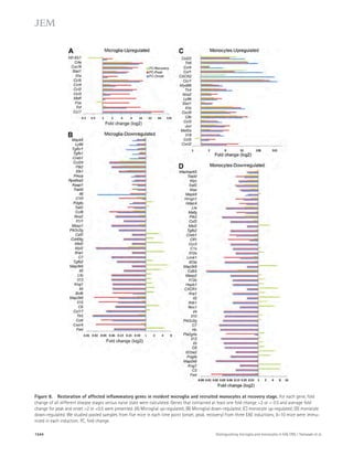 Figure 8. Restoration of affected inflammatory genes in resident microglia and recruited monocytes at recovery stage. For each gene, fold 
change of all different disease stages versus naive state were calculated. Genes that contained at least one fold change 2 or  0.5 and average fold 
change for peak and onset 2 or 0.5 were presented. (A) Microglial up-regulated; (B) Microglial down-regulated; (C) monocyte up-regulated; (D) monocyte 
down-regulated. We studied pooled samples from five mice in each time point (onset, peak, recovery) from three EAE inductions; 8–10 mice were immu-nized 
in each induction. FC, fold change. 
1544 Distinguishing microglia and monocytes in EAE CNS | Yamasaki et al. 
 