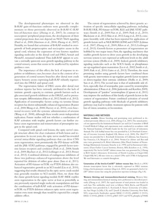 JEM Vol. 211, No. 5 
Ar t icle 
The extent of regeneration achieved by direct genetic ac-tivation 
of specific intracellular signaling pathways, including 
B-RAF, DLK, PI3-kinase–mTOR, KLF, and JAK–STAT path-ways 
(Smith et al., 2009; Yan et al., 2009; Park et al., 2010; 
Blackmore et al., 2012; Shin et al., 2012; Lang et al., 2013), com-pares 
favorably with what has been reported for application of 
growth factors such as NGF, BDNF, GDNF, and CNTF (Lykissas 
et al., 2007; Zhang et al., 2009; Allen et al., 2013; Leibinger 
et al., 2013). Growth factors as promoters of regeneration are 
hobbled by two major issues. First, the signaling machinery that 
enables growth factors to drive axon growth in the developing 
nervous system is not expressed at sufficient levels in the adult 
nervous system (Hollis et al., 2009). Indeed, growth inhibitory 
signaling molecules such as the SOCS family or phosphatases 
are up-regulated upon maturation (Lu et al., 2002; Smith et al., 
2009; Park et al., 2010; Gatto et al., 2013). Therefore, the most 
promising studies using growth factors have combined them 
with genetic intervention to up-regulate growth factor receptors 
or down-regulate their intrinsic inhibitors (Hollis et al., 2009; 
Sun et al., 2011). The second issue is that of undesirable side ef-fects, 
especially that of neuropathic pain caused by neurotrophin 
administration (Obata et al., 2006; Jankowski and Koerber, 2009). 
Development of “painless” neurotrophins (Capsoni et al., 2011) 
may improve the usefulness of this family of growth factors in the 
context of regeneration. Future combined activation of several 
growth signaling pathways with blockade of growth inhibitory 
pathways may lead to realistic treatment options for patients with 
loss of vision, sensation, or locomotion. 
MATERIALS AND METHODS 
Mouse models. Mouse breeding and genotyping were performed as de-scribed 
previously (Mercer et al., 2005; Zhong et al., 2007). The animal proto-col 
was approved by the Institutional Animal Care and Use Committee at Weill 
Cornell Medical College, and experiments were conducted in accordance with 
the National Institutes of Health Guide for the Use and Care of Laboratory 
Animals. The LSL-kaBraf mouse line was provided by C.A. Pritchard (Univer-sity 
of Leicester, Leicester, England, UK; Mercer et al., 2005). The TrkAtaulacZ 
mouse was provided by L. Reichardt (University of California, San Francisco, 
San Francisco, CA; Moqrich et al., 2004). Nestin-Cre deleter and Bax-null 
mice were generated in R. Klein’s laboratory (Max Planck Institute of Neuro-biology, 
Martinsried, Germany; Tronche et al., 1999) and S.J. Korsmeyer’s labo-ratory 
(Dana-Farber Cancer Institute, Boston, MA; Knudson et al., 1995), 
respectively. The brn3a-CreERT2 deleter mouse line was generated by J. Zhong 
in W.D. Snider’s laboratory (University of North Carolina at Chapel Hill, 
Chapel Hill, NC). All mice were on a mixed 129Sv and C57BL/6 background. 
We used littermates as controls throughout. 
Generation of the brn3a-CreERT2 deleter mouse line. Brn3a is a POU 
domain transcription factor that is selectively expressed in DRG neurons. 
Using a brn3a promoter construct (Eng et al., 2001), we generated a brn3a-Cre- 
ERT2 deleter mouse line using the pronuclear injection technique (Fig. 6 A). 
Western blotting and immunohistochemical staining. Western blot-ting 
and immunohistochemical staining were performed as described previ-ously 
(Zhong et al., 2007). An equal amount of total protein was loaded in 
each lane. The antibodies used were as follows: TrkA, Brn3a, and PlexinA1 
antibodies were provided by L. Reichardt, E. Turner (University of Califor-nia, 
San Diego, La Jolla, CA), and T. Jessell (Columbia University, New York, 
NY), respectively. Antibodies against MEK1/2 (9122), pMEK1/2 (9121), 
ERK1/2 (9102), pERK1/2 (9101), pAKT (9271 and 9275), phospho-p70S6K 
811 
The developmental phenotypes we observed in the 
B-RAF gain-of-function embryos were generally comple-mentary 
to those previously observed in B-RAF/C-RAF 
loss-of-function mice (Zhong et al., 2007). In contrast to 
nociceptors’ peripheral projections, the development of their 
central projections does not depend on NGF/TrkA signaling 
(Patel et al., 2000; Harrison et al., 2004; Zhong et al., 2007). 
Notably, we found that activation of B-RAF resulted in over-growth 
of both proprioceptive and nociceptive axons in the 
spinal cord, whereas the expression of two known repulsive 
signaling molecules in the dorsal cord and DRG, Sema6 and 
PlexinA1, remained unaltered. Thus, kaB-RAF appears to acti-vate 
a normally quiescent axon growth signaling pathway in the 
central sensory axons that seems to be unaffected by repulsive 
guidance cues. 
The importance of this effect, the lack of response to re-pulsive 
or inhibitory cues, becomes clear in the context of re-generation 
of central sensory branches after dorsal root crush 
injury. Sensory axons expressing kaB-RAF robustly regener-ated 
into the DREZ and spinal cord. 
The regeneration failure of DRG axons after dorsal root 
avulsion injuries has been variously attributed to the lack of 
intrinsic growth capacity, to extrinsic growth barriers such as 
glia-associated growth inhibitors at the DREZ, and to prema-ture 
synaptic differentiation (Han et al., 2012; Smith et al., 2012). 
Application of neurotrophic factors acting via tyrosine kinase 
receptors has shown substantially enhanced regeneration (Ramer 
et al., 2000; Wang et al., 2008; Harvey et al., 2010), even func-tional 
recovery with the systemic administration of artemin 
(Wang et al., 2008), although these results await independent 
replication. Future studies will test whether a combination of 
RAF activation with trophic growth factors can further en-hance 
axon regeneration and reinnervation of presumptive tar-gets 
in the spinal cord. 
Compared with spinal cord lesions, the optic nerve’s sim-ple 
structure allows for clear evaluation of both lesion and re-generation. 
In recent years, the optic nerve model has revealed 
several intracellular signaling pathways that can drive CNS 
axon regeneration, most prominently the PI3-kinase–mTOR 
and the JAK–STAT pathways, engaged by growth factor tyro-sine 
kinase receptors and cytokines (Park et al., 2008; Smith 
et al., 2009; Buchser et al., 2012; Leibinger et al., 2013; Pernet 
et al., 2013). Combined deletion of endogenous inhibitors of 
these two pathways enhanced regeneration above the level 
reported for deletion of either gene alone (Sun et al., 2011). 
Activation of PI3-kinase–mTOR via PTEN deletion also en-hanced 
regenerative growth in an SCI model (Liu et al., 2010), 
suggesting that results obtained in the optic nerve crush model 
may generally translate to SCI models. Here, we show that 
the classic growth factor signaling module RAF–MEK enables 
axon regeneration in the optic nerve at least as powerfully as 
any previously reported single molecule manipulation and that 
the combination of kaB-RAF with activation of PI3-kinase– 
mTOR via PTEN deletion enhances optic nerve axon regen-eration 
even more strongly than would be expected for a simple 
additive effect. 
 